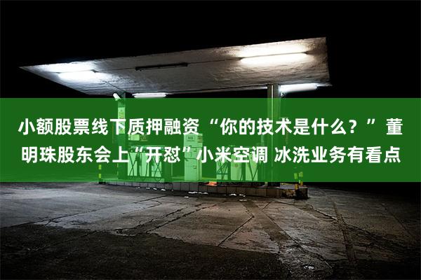 小额股票线下质押融资 “你的技术是什么？” 董明珠股东会上“开怼”小米空调 冰洗业务有看点