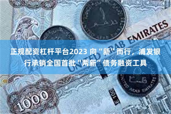 正规配资杠杆平台2023 向“新”而行，浦发银行承销全国首批“两新”债务融资工具