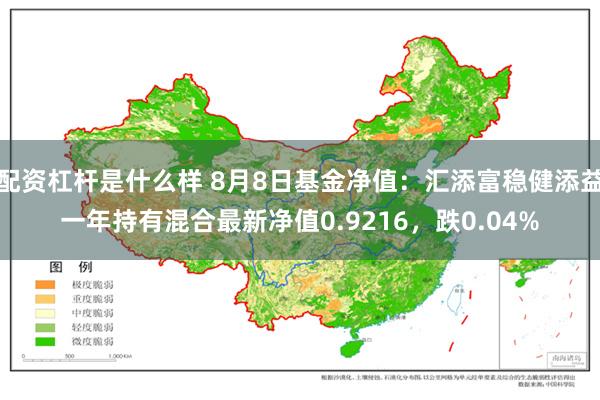 配资杠杆是什么样 8月8日基金净值：汇添富稳健添益一年持有混合最新净值0.9216，跌0.04%