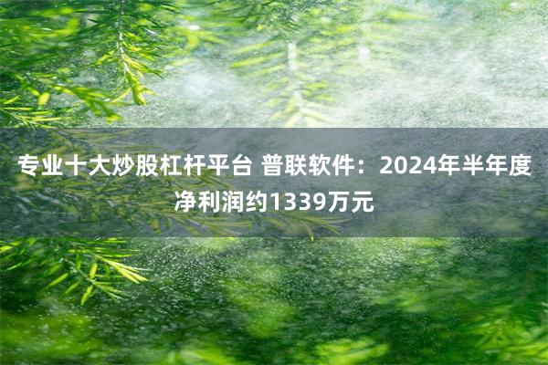 专业十大炒股杠杆平台 普联软件：2024年半年度净利润约1339万元