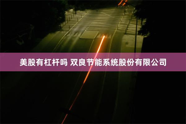 美股有杠杆吗 双良节能系统股份有限公司