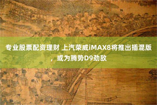 专业股票配资理财 上汽荣威iMAX8将推出插混版，或为腾势D9劲敌