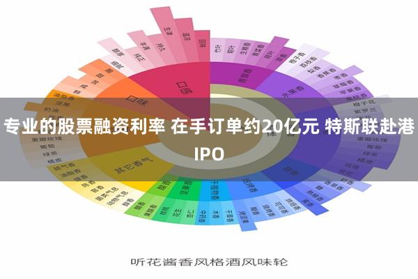 专业的股票融资利率 在手订单约20亿元 特斯联赴港IPO