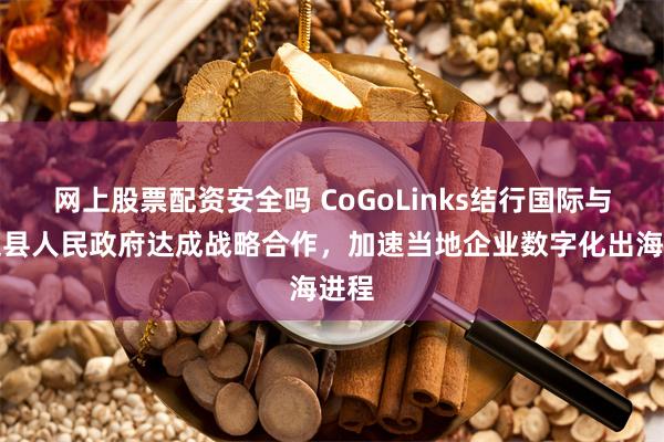 网上股票配资安全吗 CoGoLinks结行国际与澄迈县人民政府达成战略合作，加速当地企业数字化出海进程