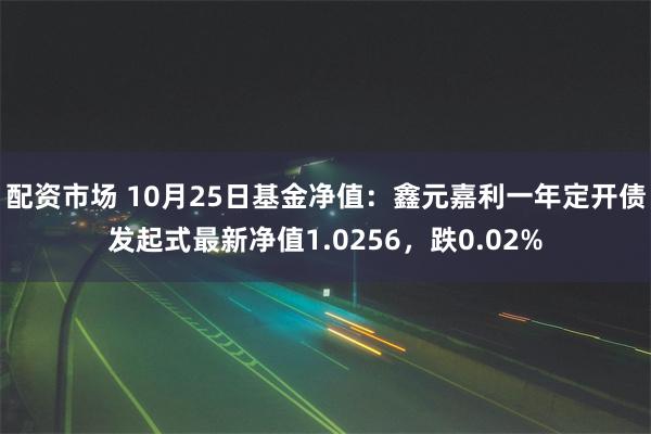 配资市场 10月25日基金净值：鑫元嘉利一年定开债发起式最新净值1.0256，跌0.02%