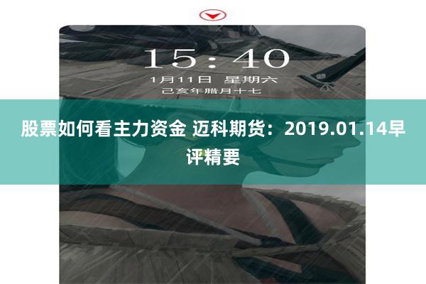 股票如何看主力资金 迈科期货：2019.01.14早评精要