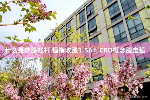 什么是炒股杠杆 恒指收涨1.56% CRO概念股走强