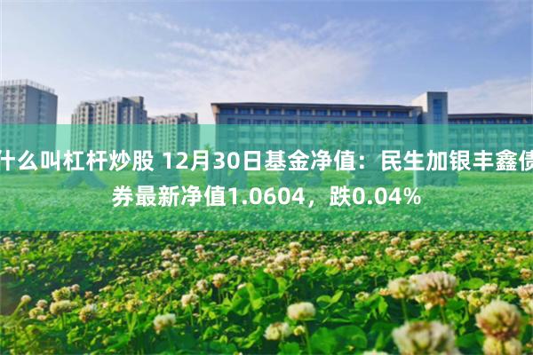 什么叫杠杆炒股 12月30日基金净值：民生加银丰鑫债券最新净值1.0604，跌0.04%