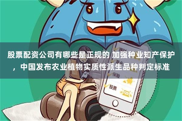 股票配资公司有哪些是正规的 加强种业知产保护，中国发布农业植物实质性派生品种判定标准